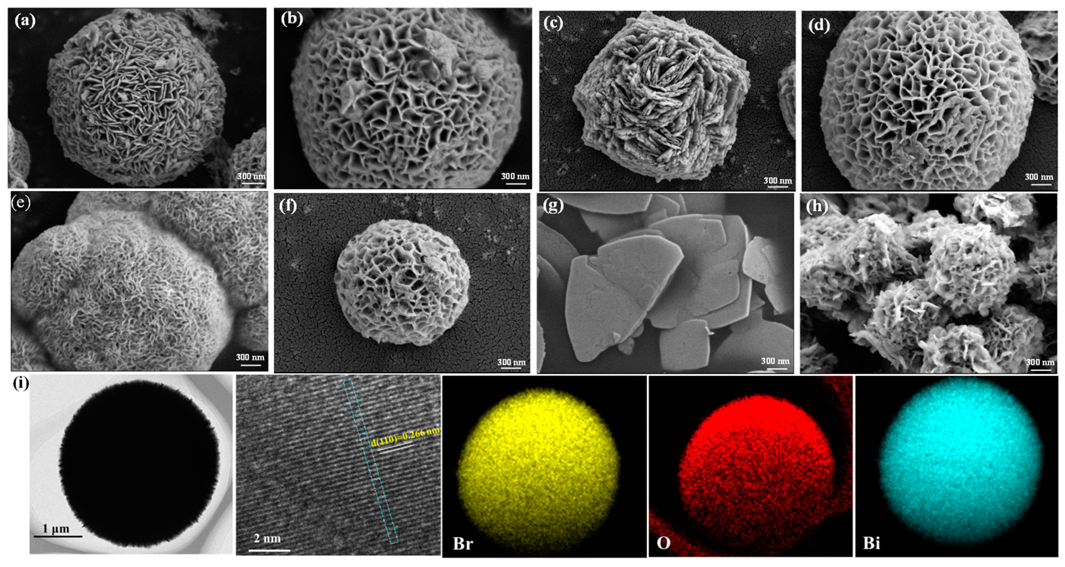 Molecules 30 01286 g002