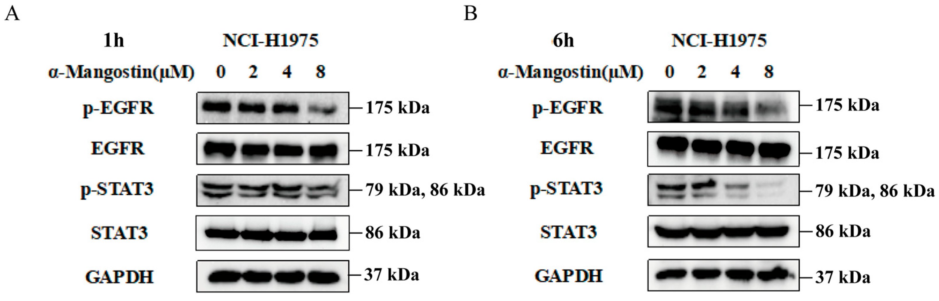 Molecules 30 01294 g002