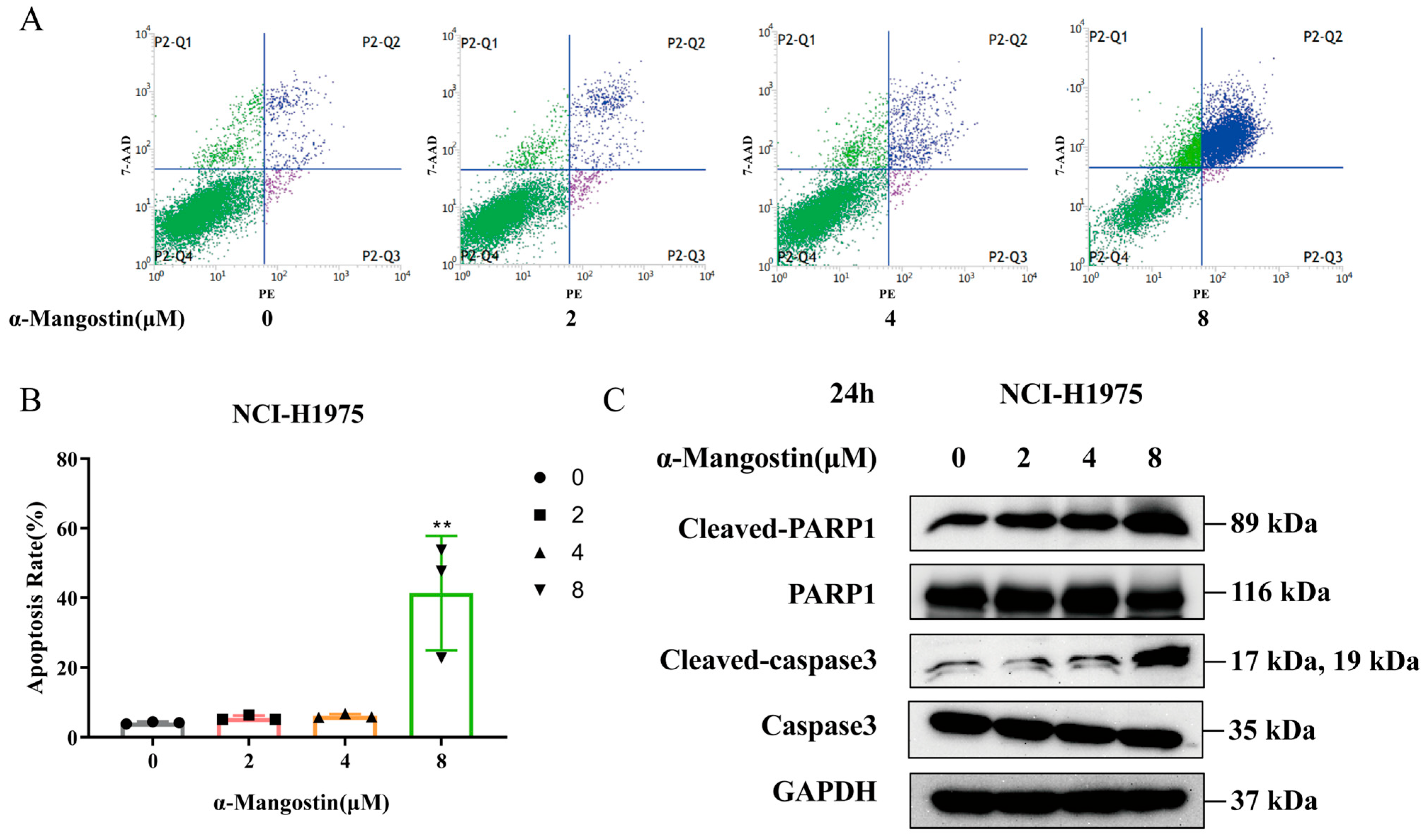 Molecules 30 01294 g003