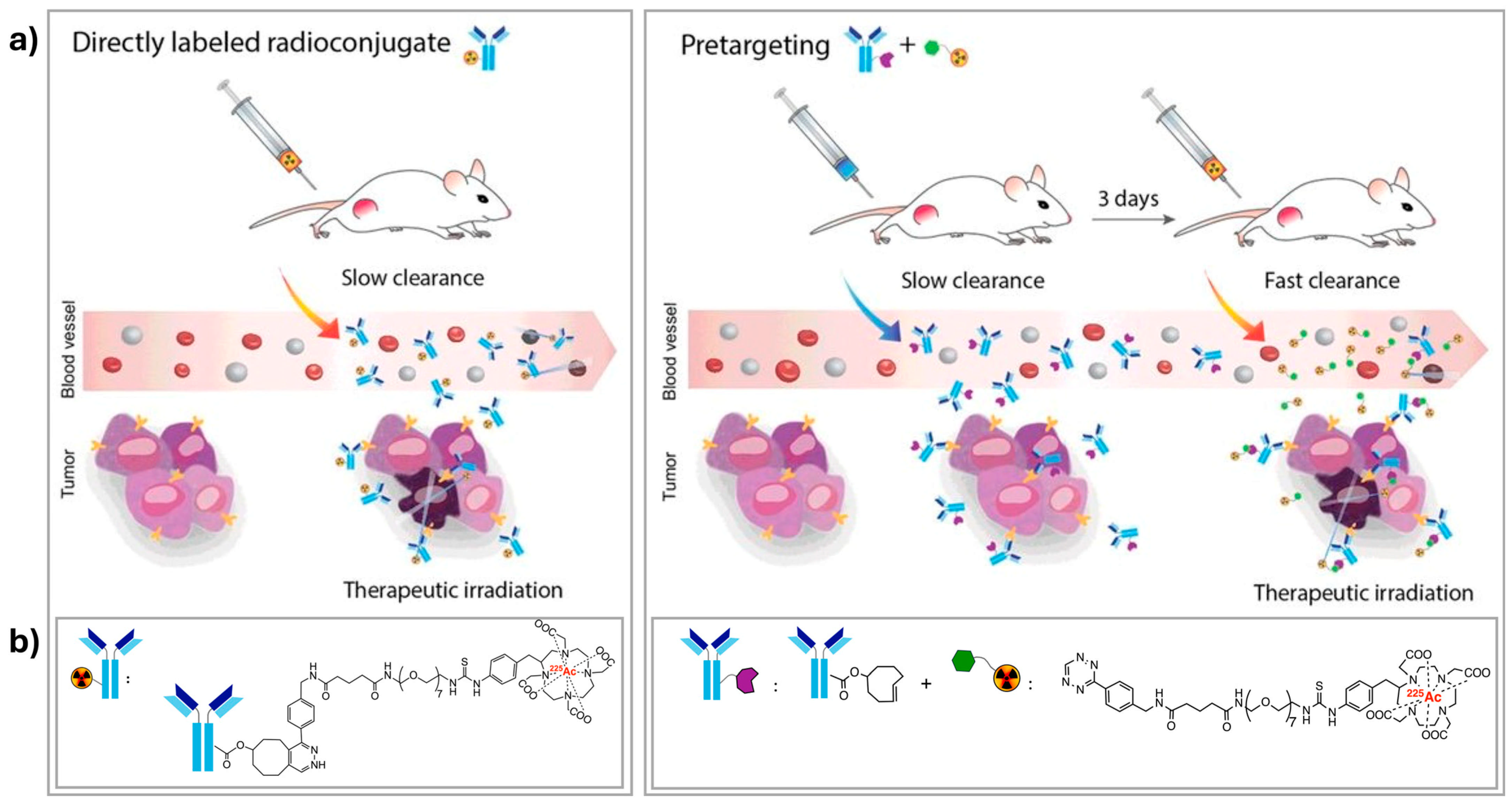 Molecules 30 01296 g006 Molecules 30 01296 g006