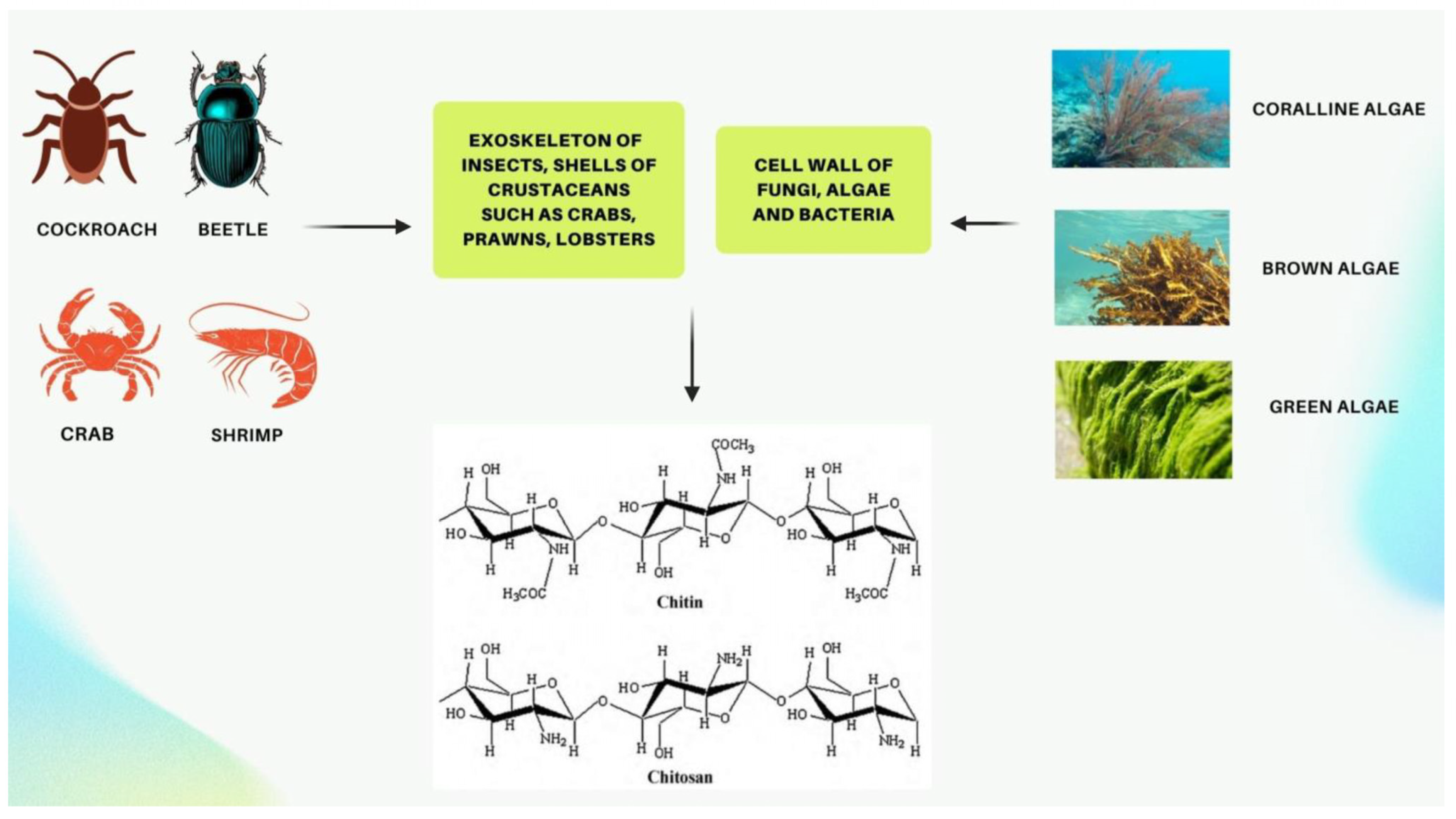 Molecules 30 01297 g002