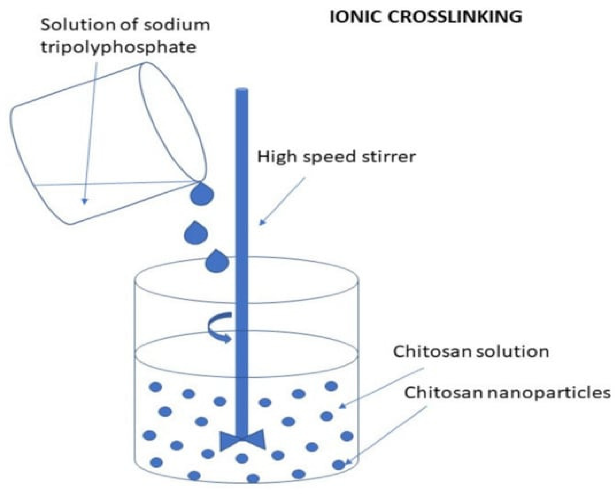 Molecules 30 01297 g026
