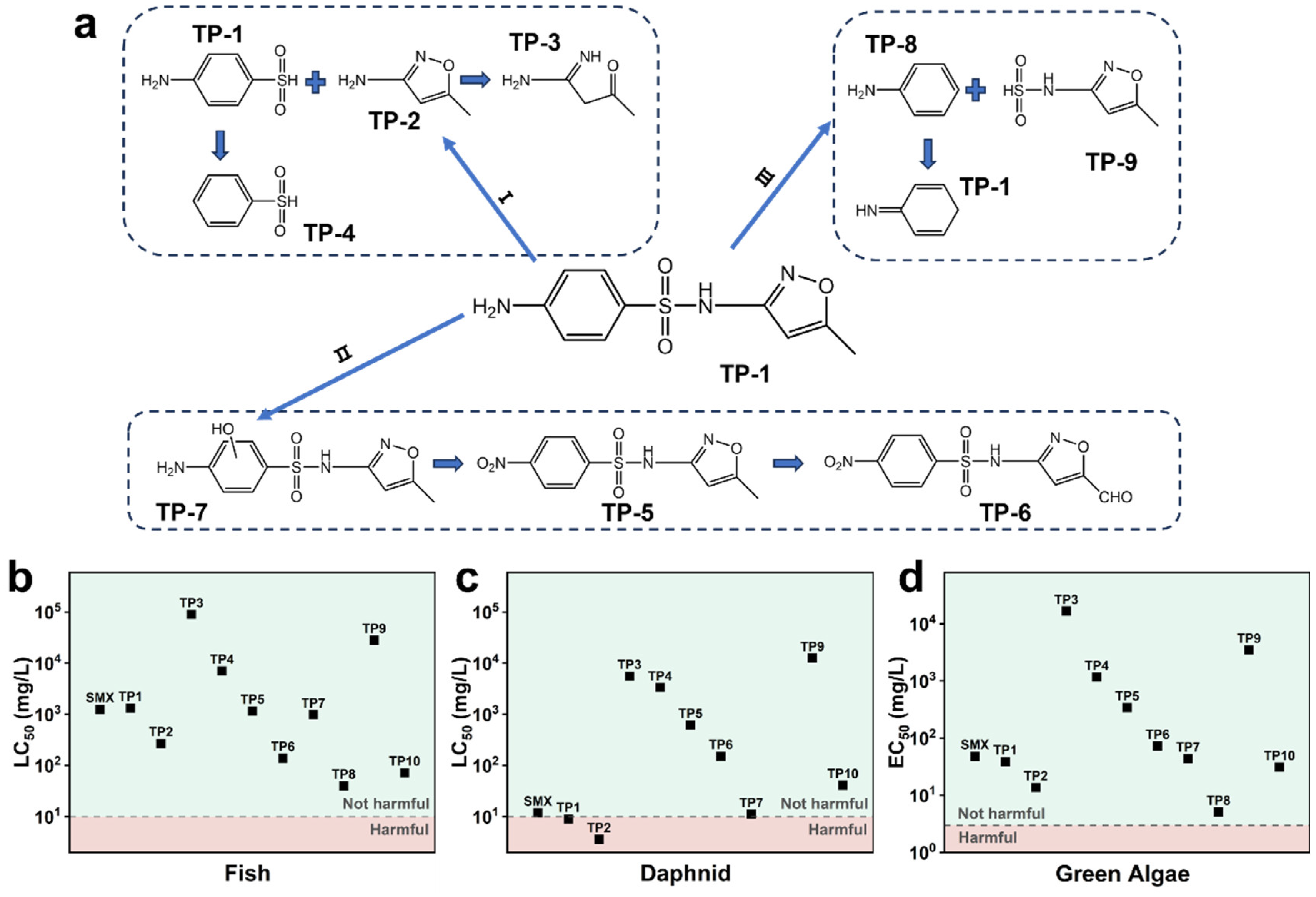 Molecules 30 01298 g006
