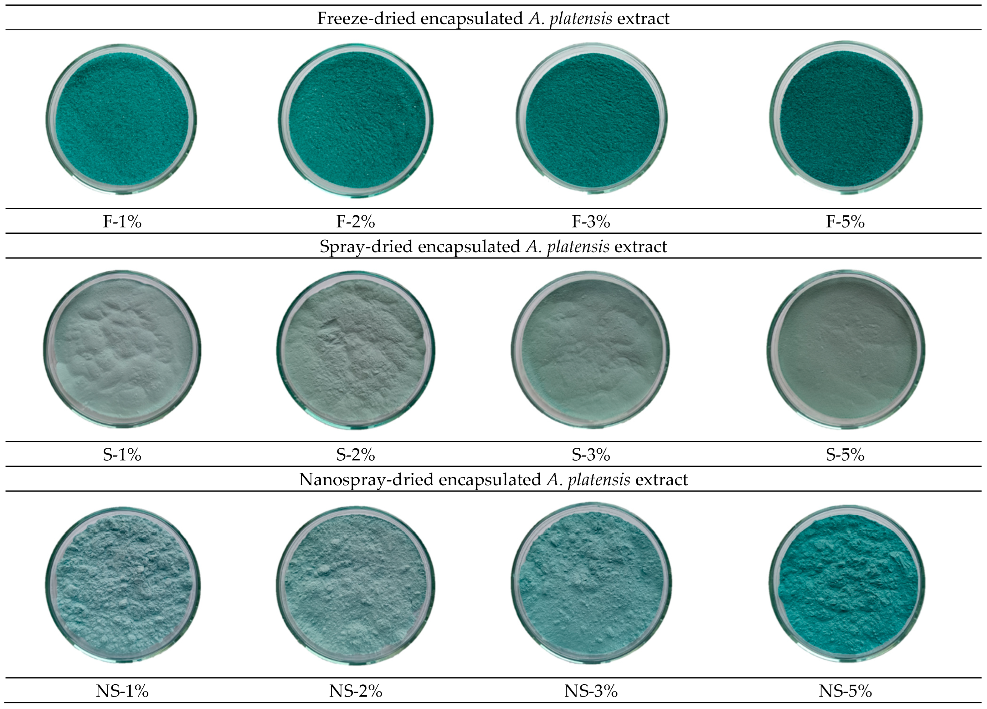 Molecules 30 01303 g003