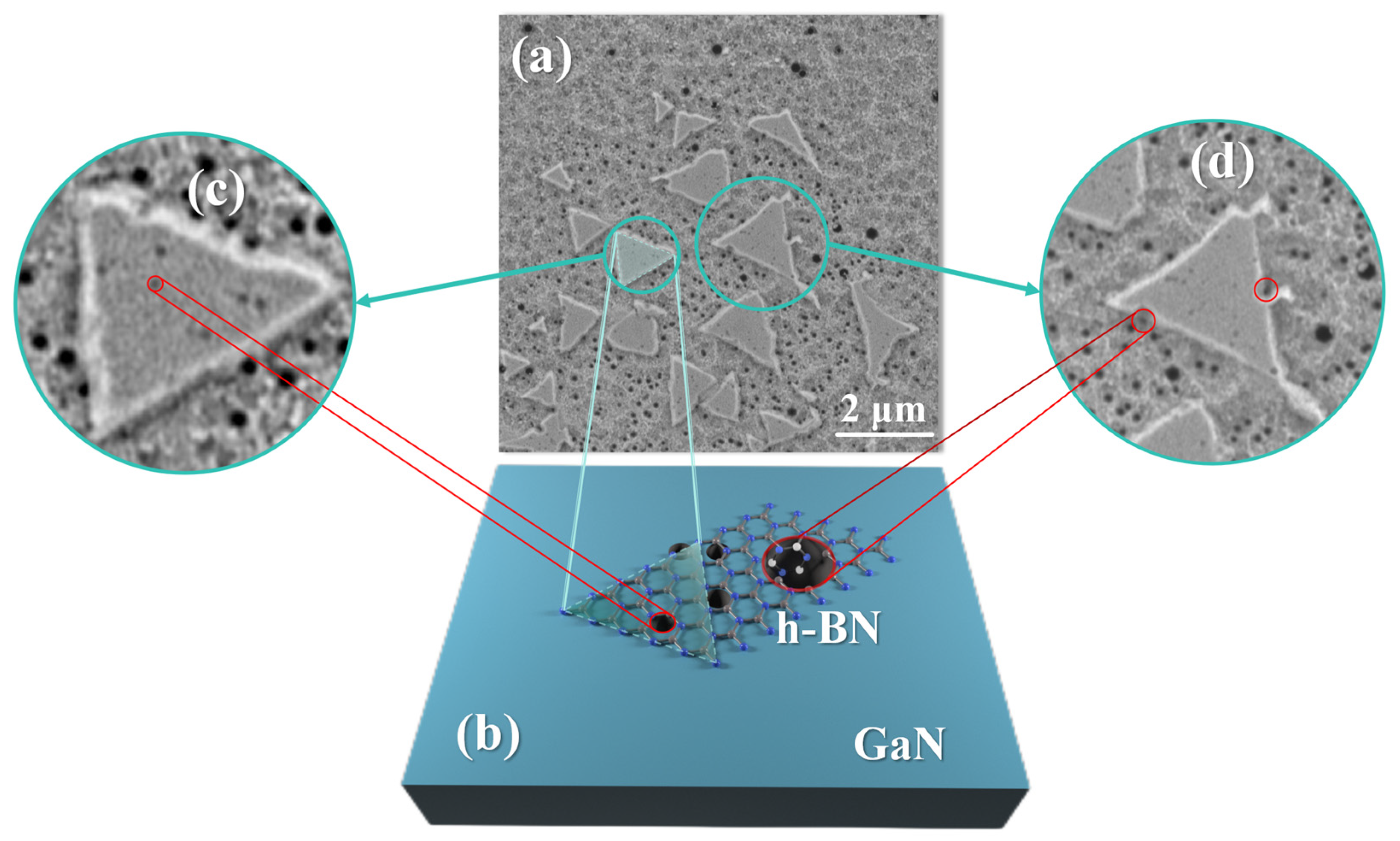 Molecules 30 01307 g006