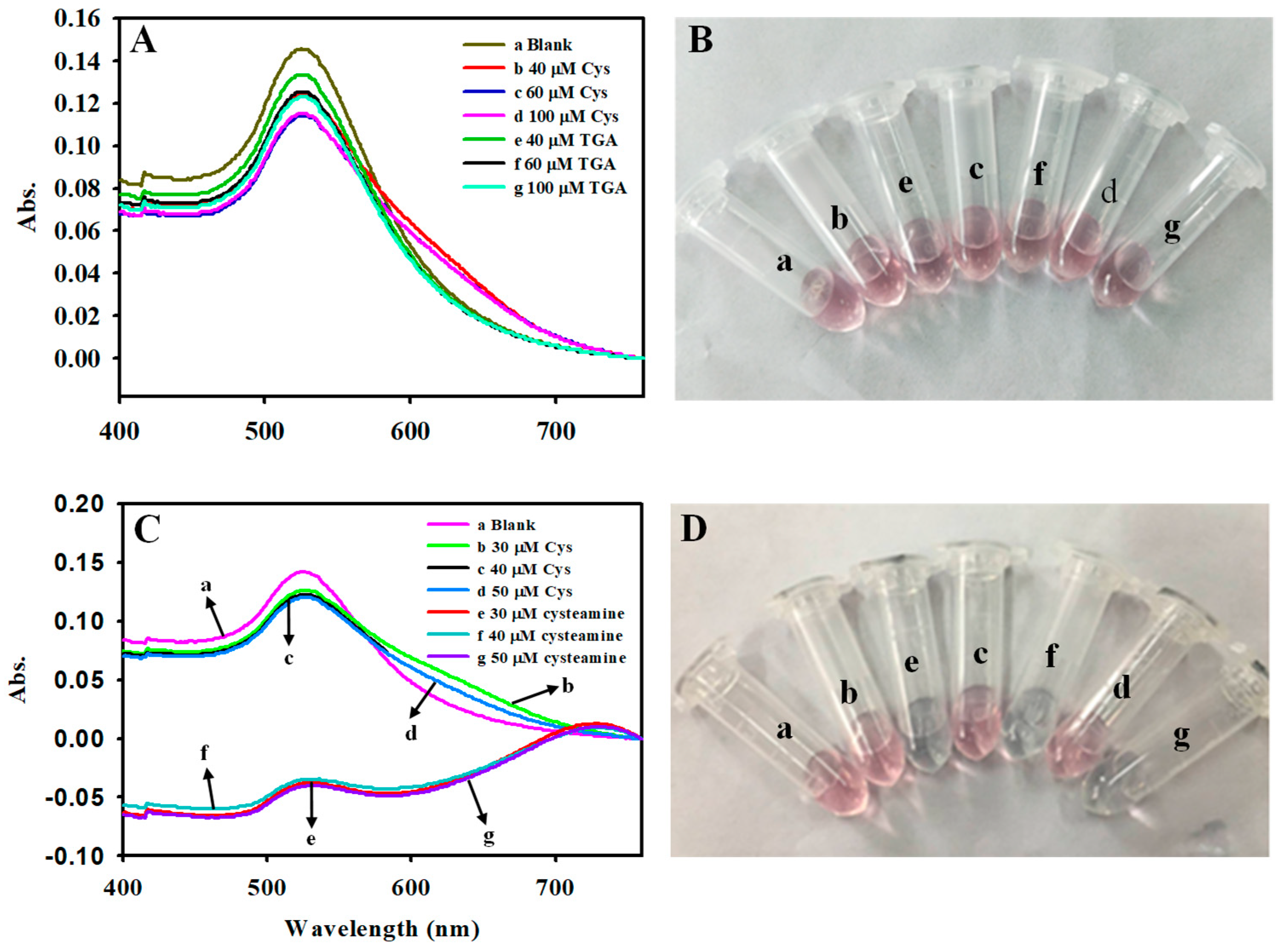 Molecules 30 01309 g001
