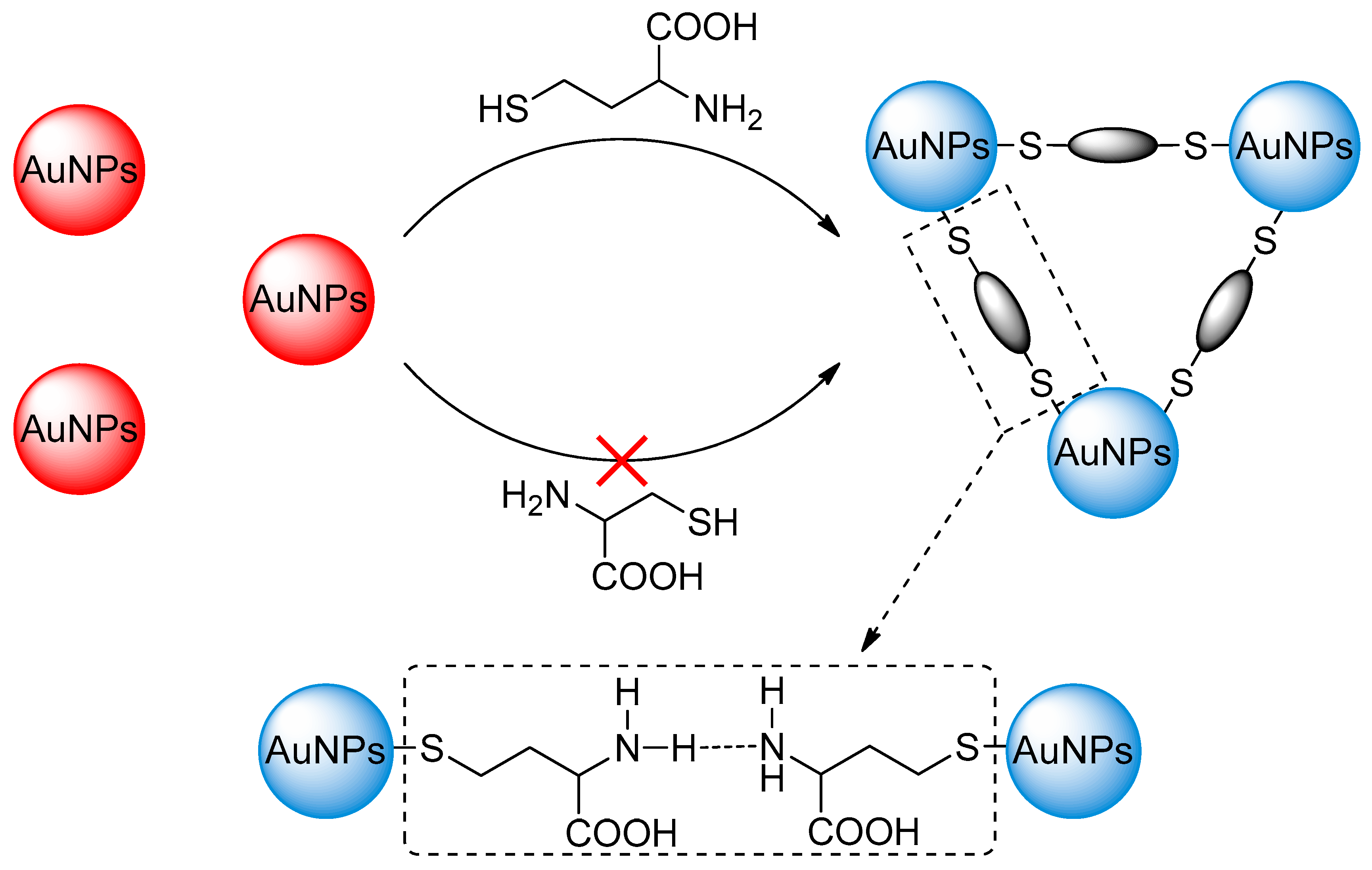 Molecules 30 01309 sch001