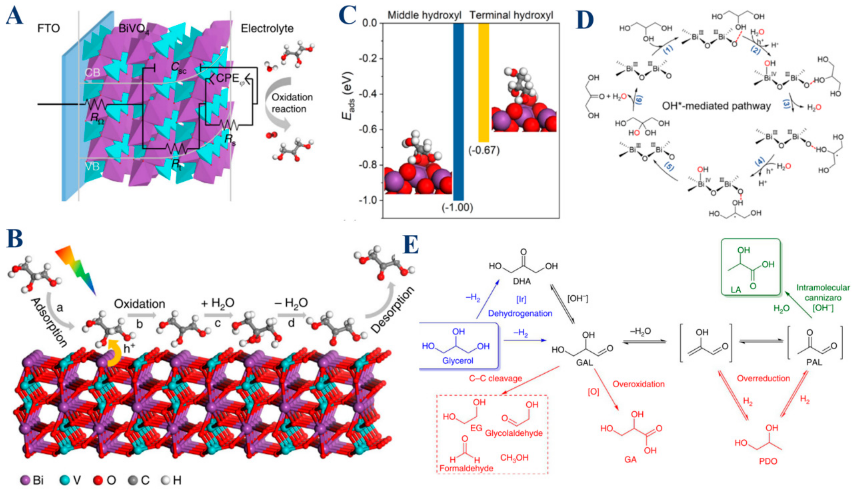 Molecules 30 01310 g006