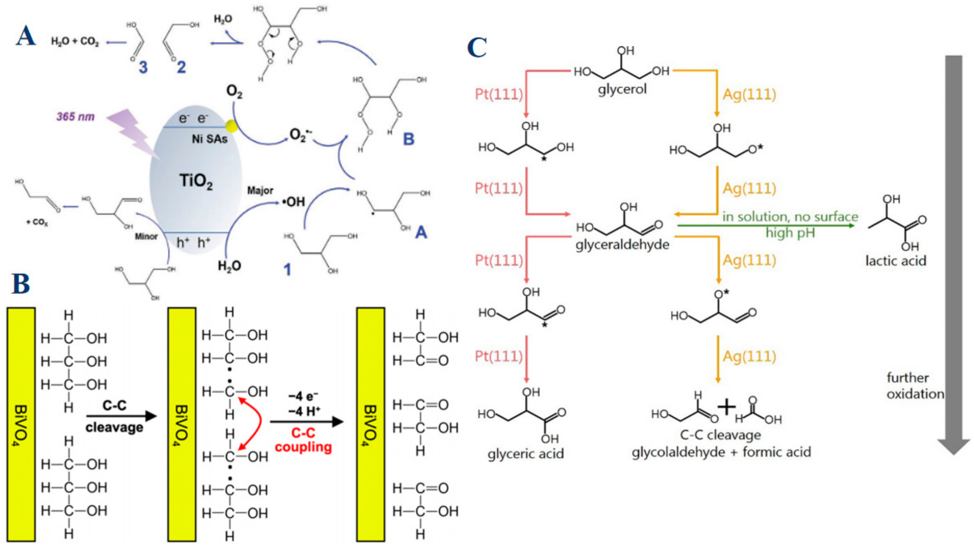 Molecules 30 01310 g007
