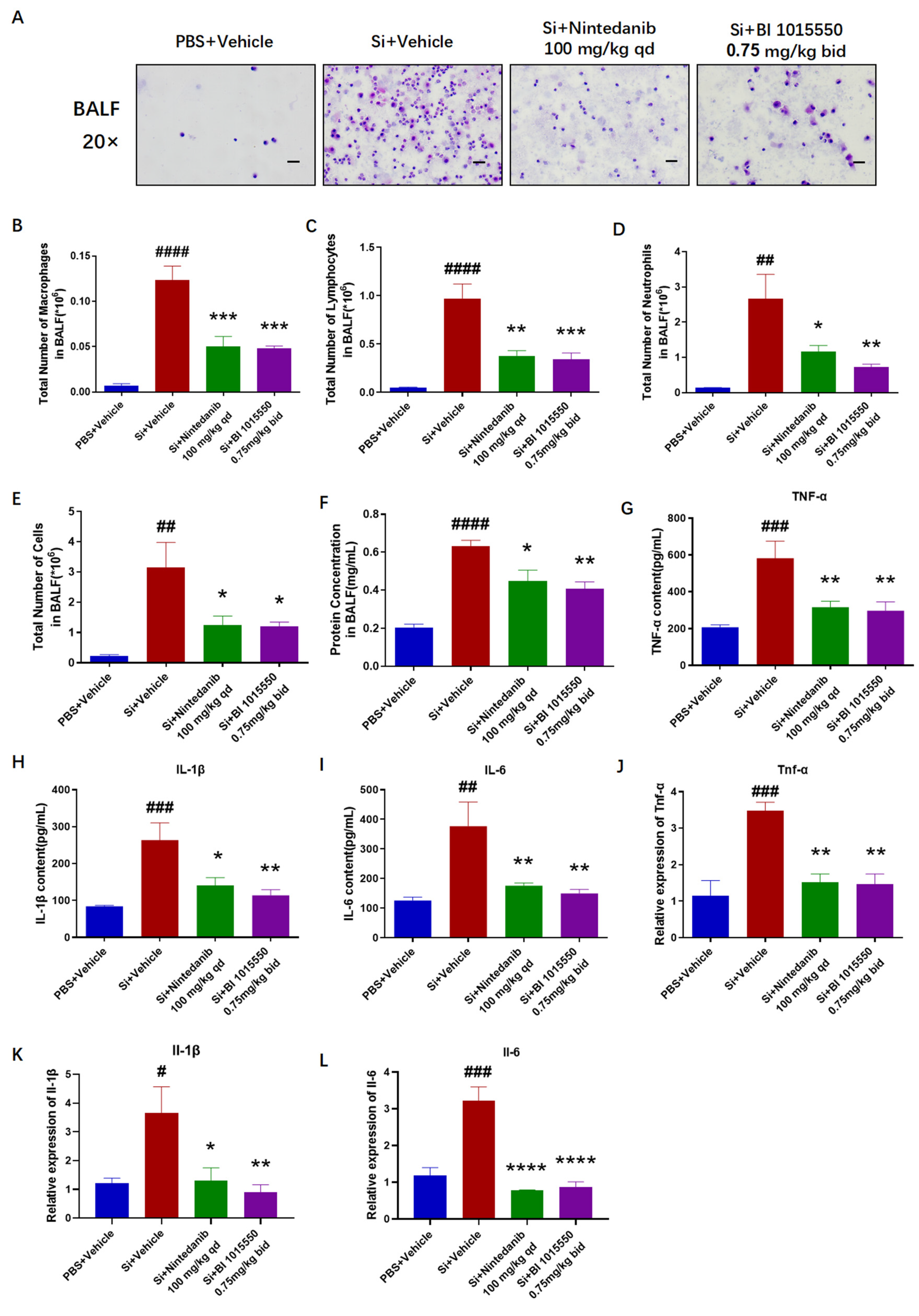 Molecules 30 01311 g002