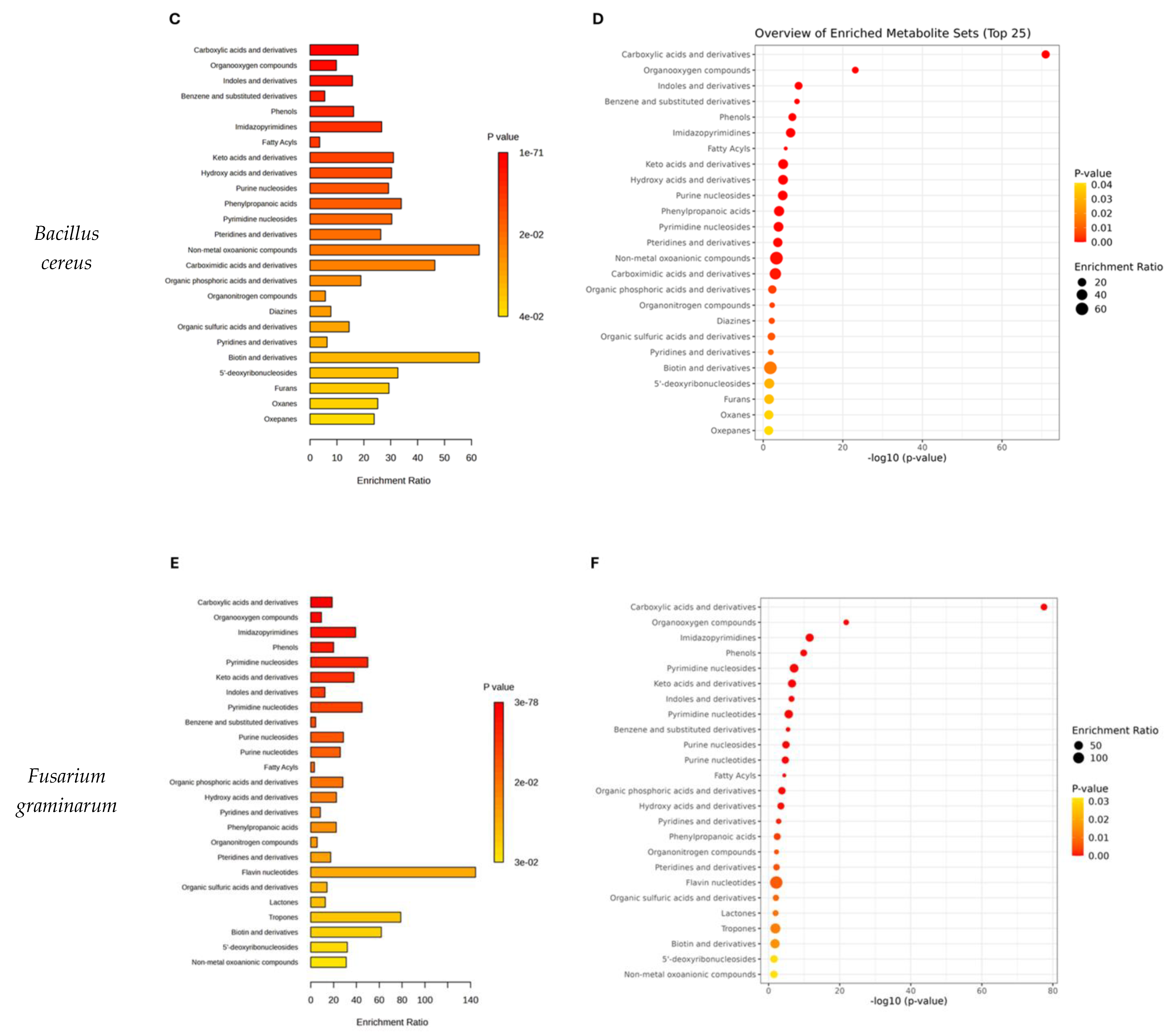 Molecules 30 01317 g002b