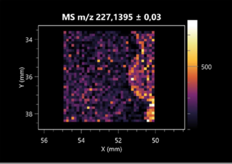 Molecules 30 01317 i001
