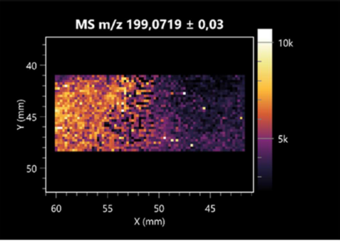 Molecules 30 01317 i002