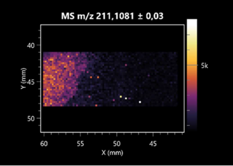 Molecules 30 01317 i003