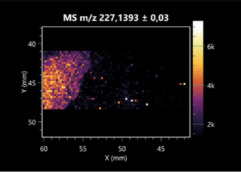 Molecules 30 01317 i005