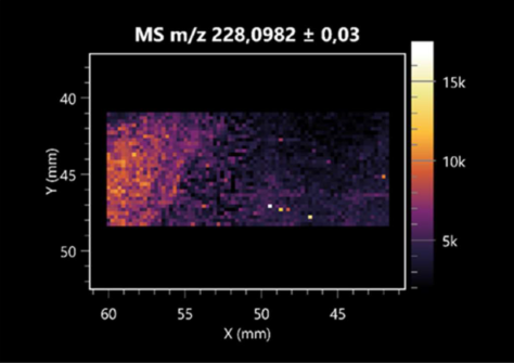 Molecules 30 01317 i006