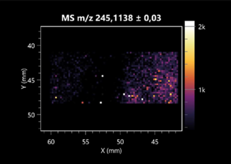 Molecules 30 01317 i007