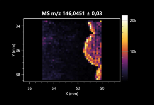 Molecules 30 01317 i009
