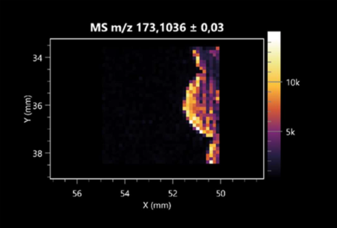 Molecules 30 01317 i010