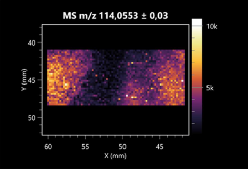 Molecules 30 01317 i012