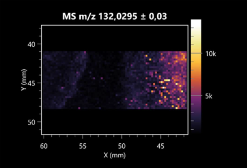Molecules 30 01317 i013