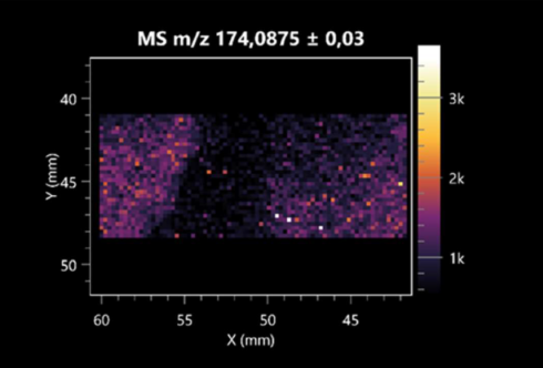 Molecules 30 01317 i014