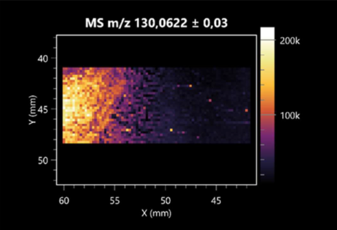 Molecules 30 01317 i017