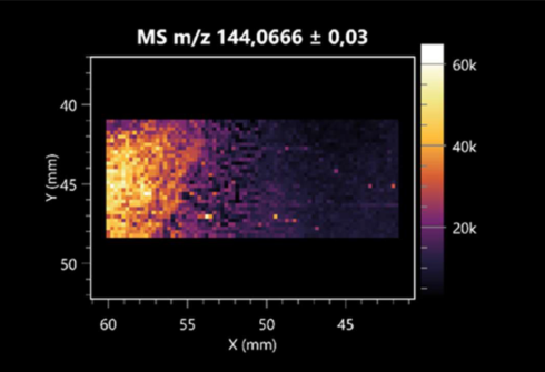 Molecules 30 01317 i019