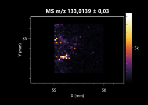 Molecules 30 01317 i021