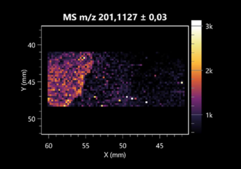 Molecules 30 01317 i023