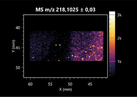 Molecules 30 01317 i024