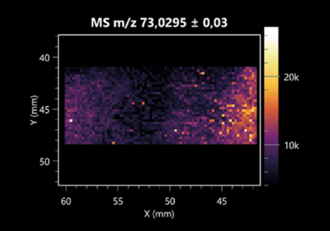 Molecules 30 01317 i025