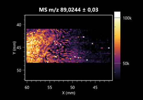 Molecules 30 01317 i026