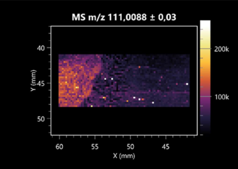 Molecules 30 01317 i027