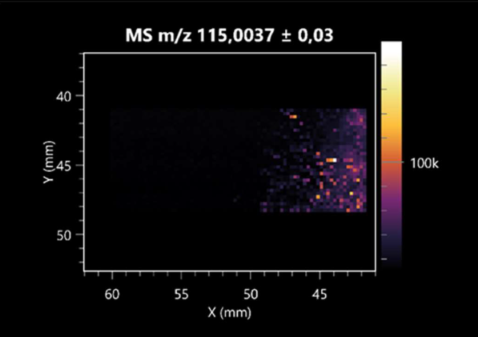 Molecules 30 01317 i028