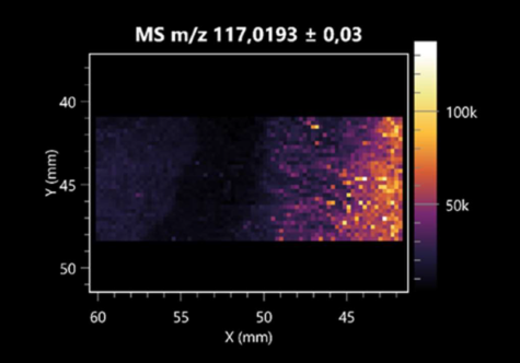 Molecules 30 01317 i029