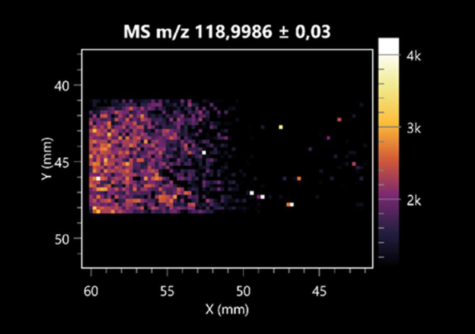 Molecules 30 01317 i030