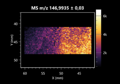 Molecules 30 01317 i031