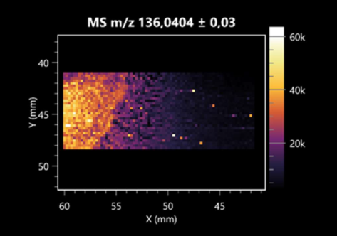 Molecules 30 01317 i032