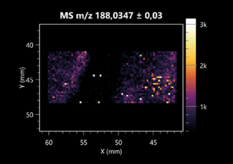 Molecules 30 01317 i034