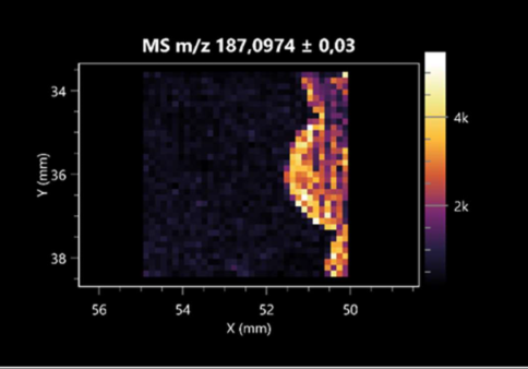 Molecules 30 01317 i035