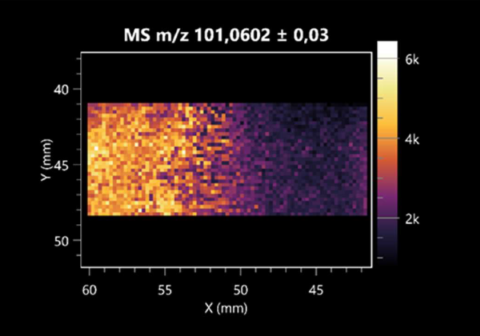 Molecules 30 01317 i041