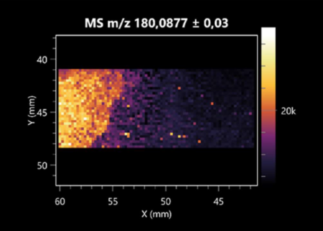Molecules 30 01317 i044