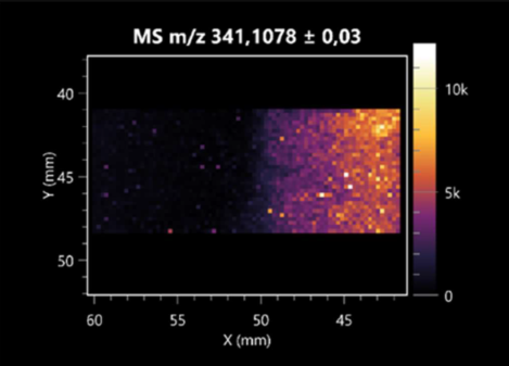Molecules 30 01317 i049