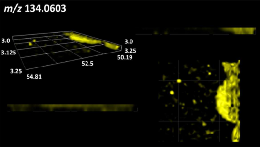 Molecules 30 01317 i062