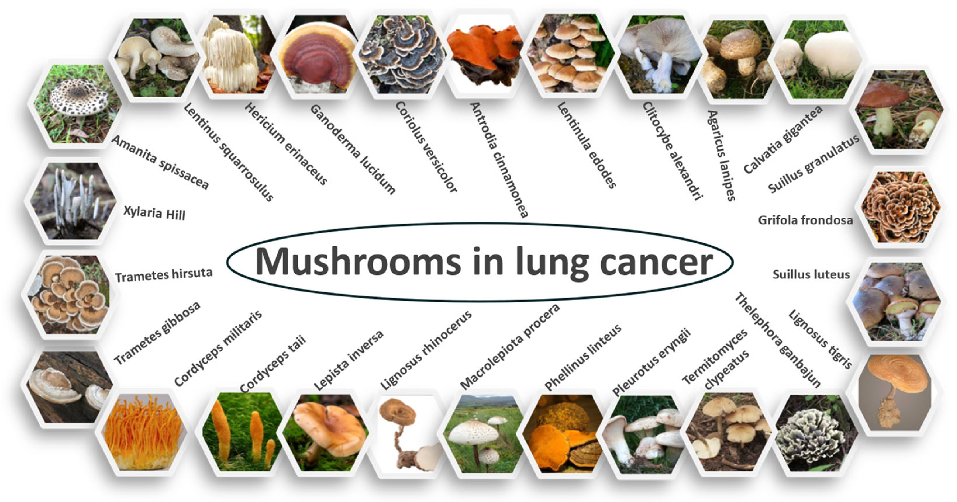 Molecules 30 01322 g001