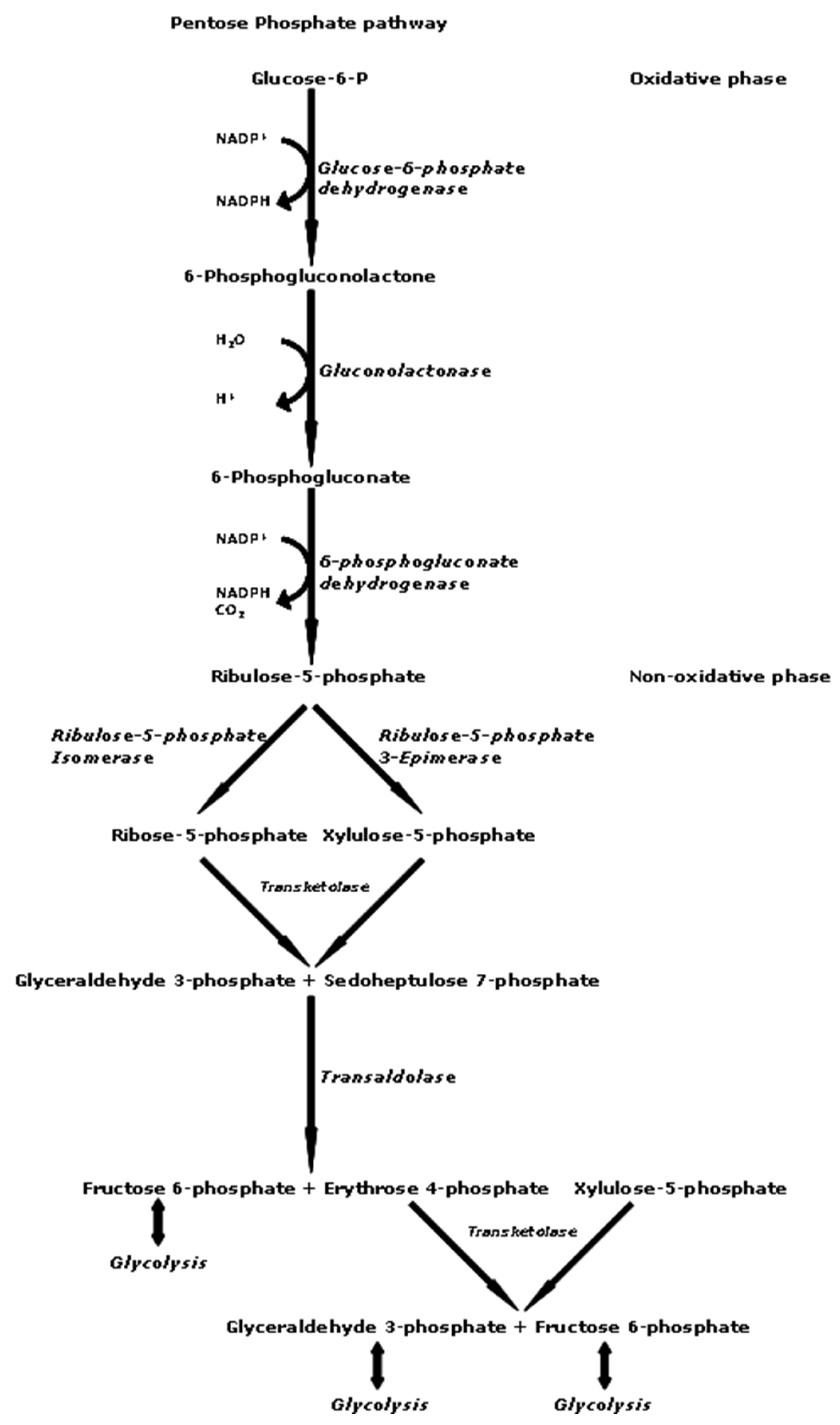 Molecules 30 01322 g003