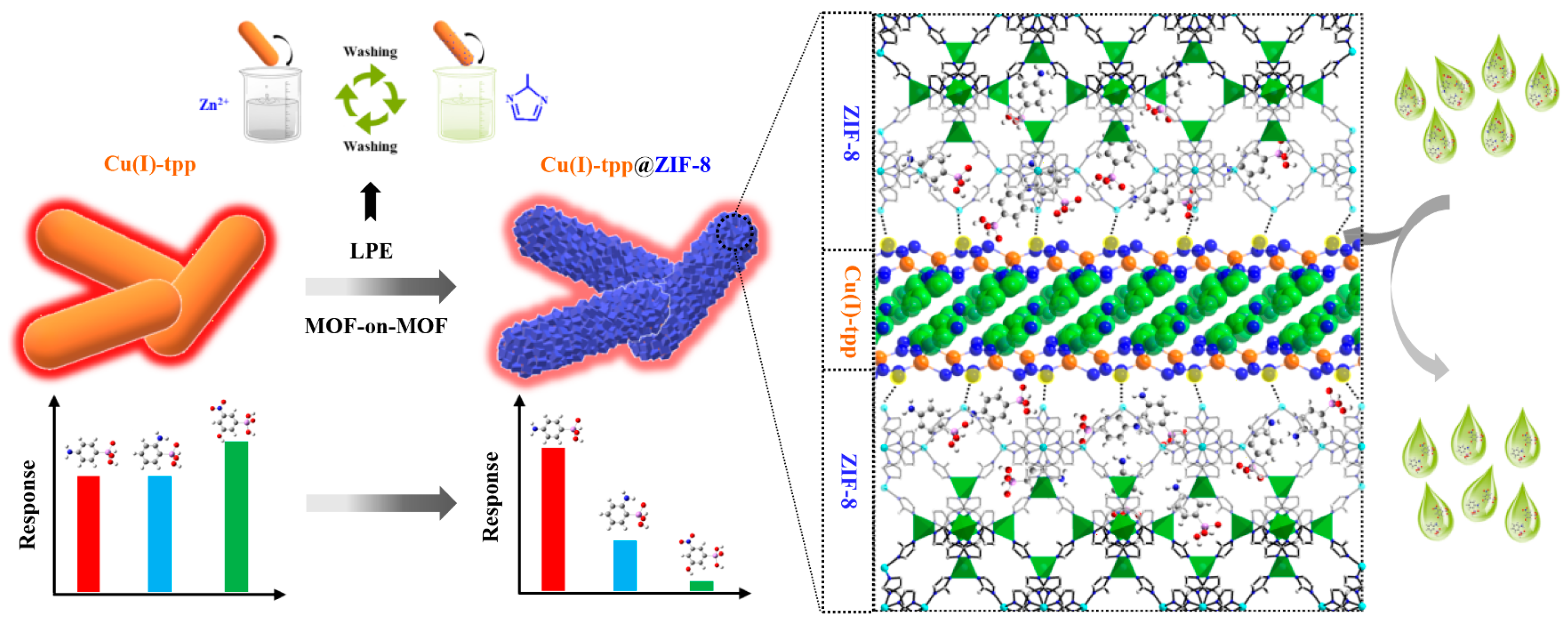 Molecules 30 01336 g006