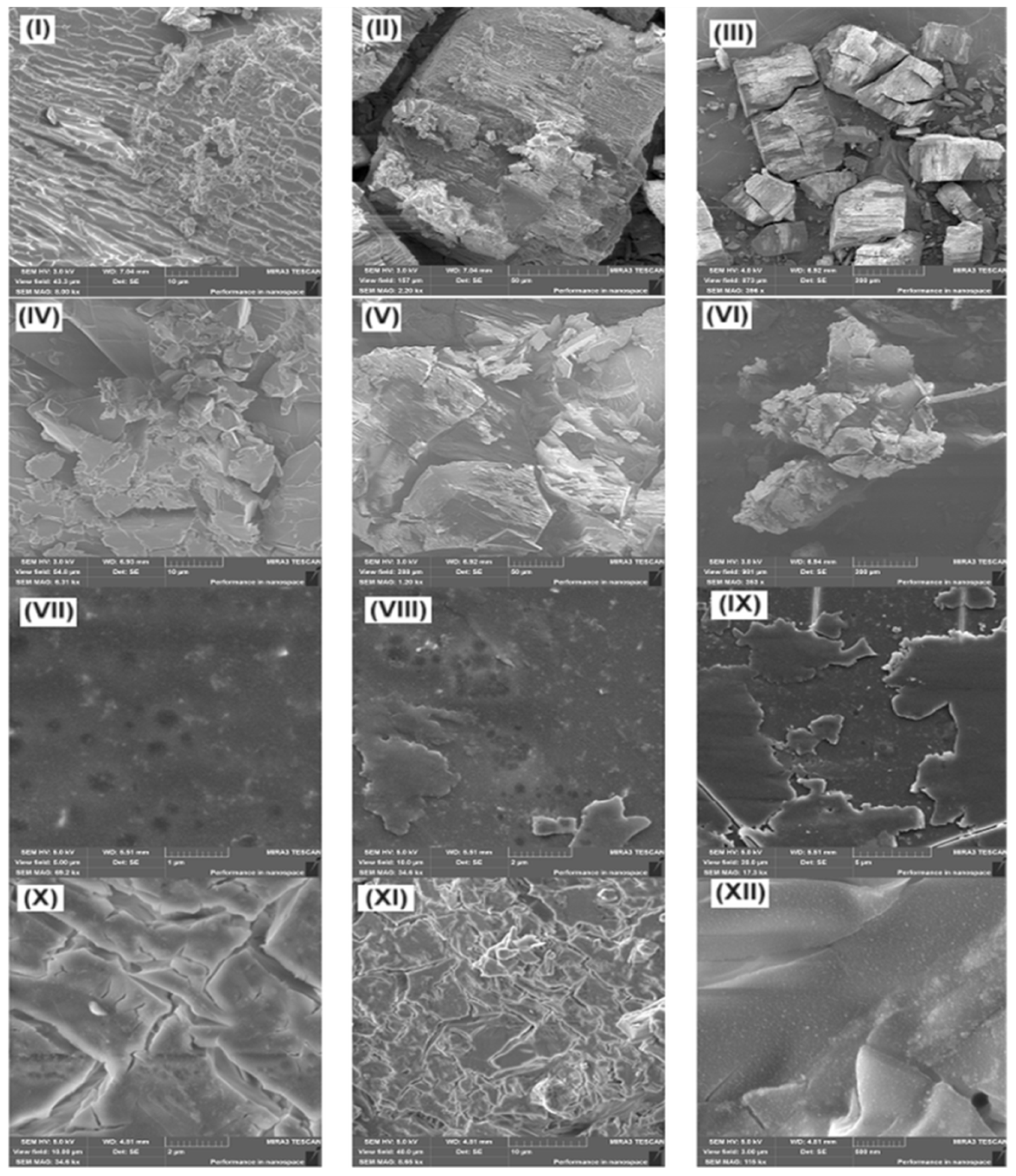Molecules 30 01337 g013