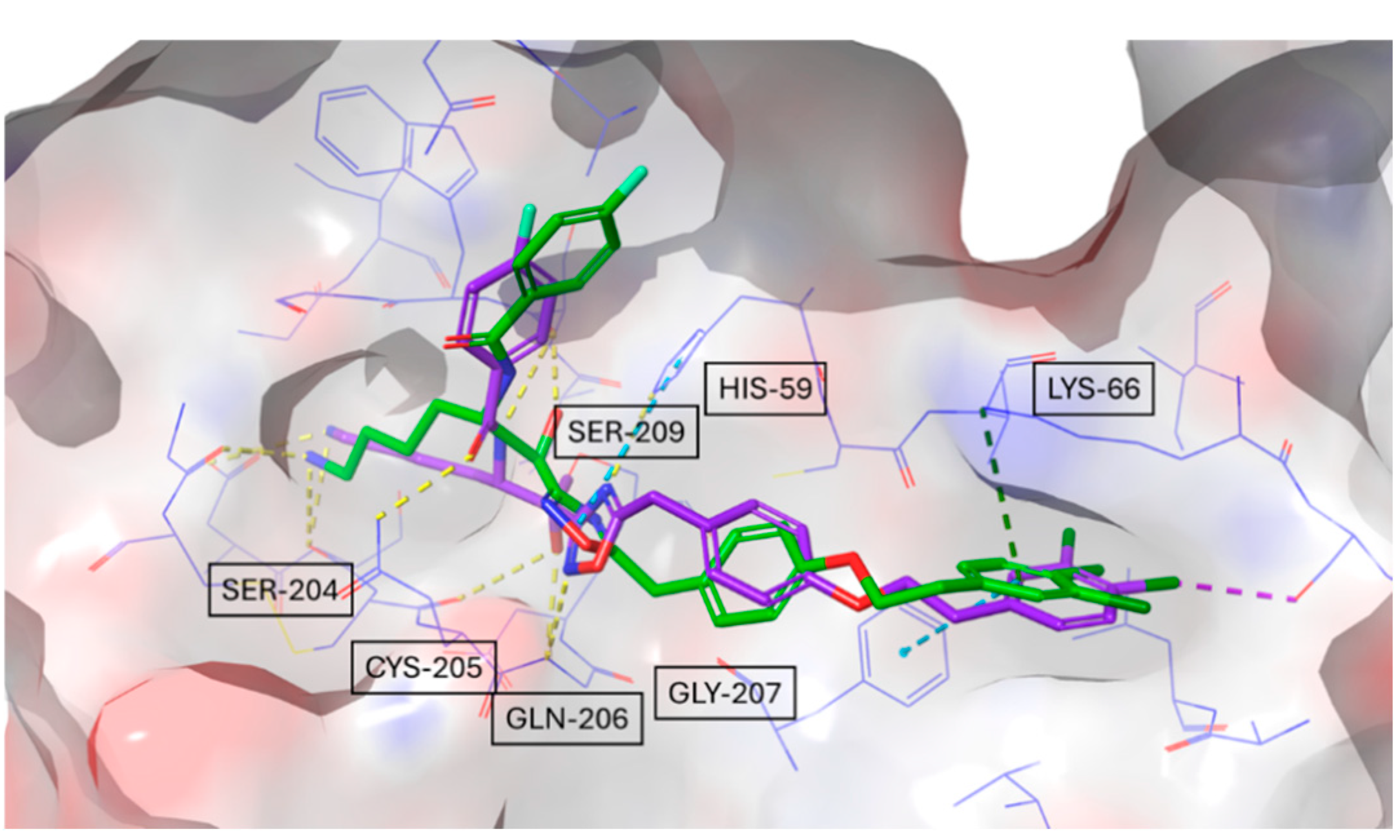 Molecules 30 01338 g007
